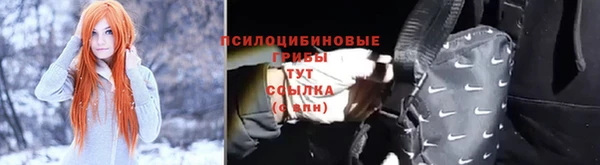 кокаин перу Богданович