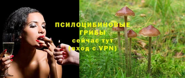 мет Богородицк
