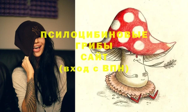 кокаин перу Богданович