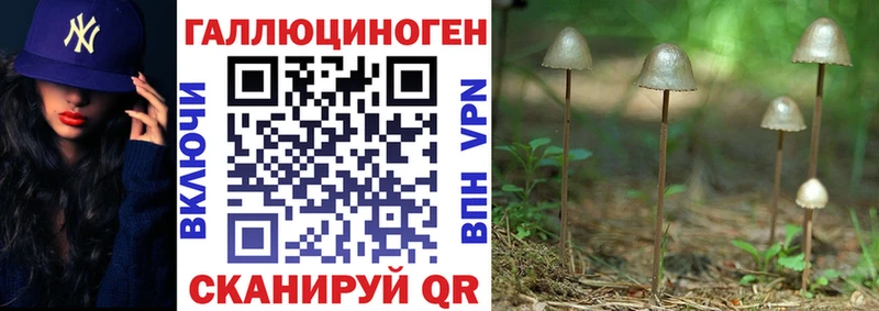 купить  сайты  Псков  Псилоцибиновые грибы GOLDEN TEACHER 